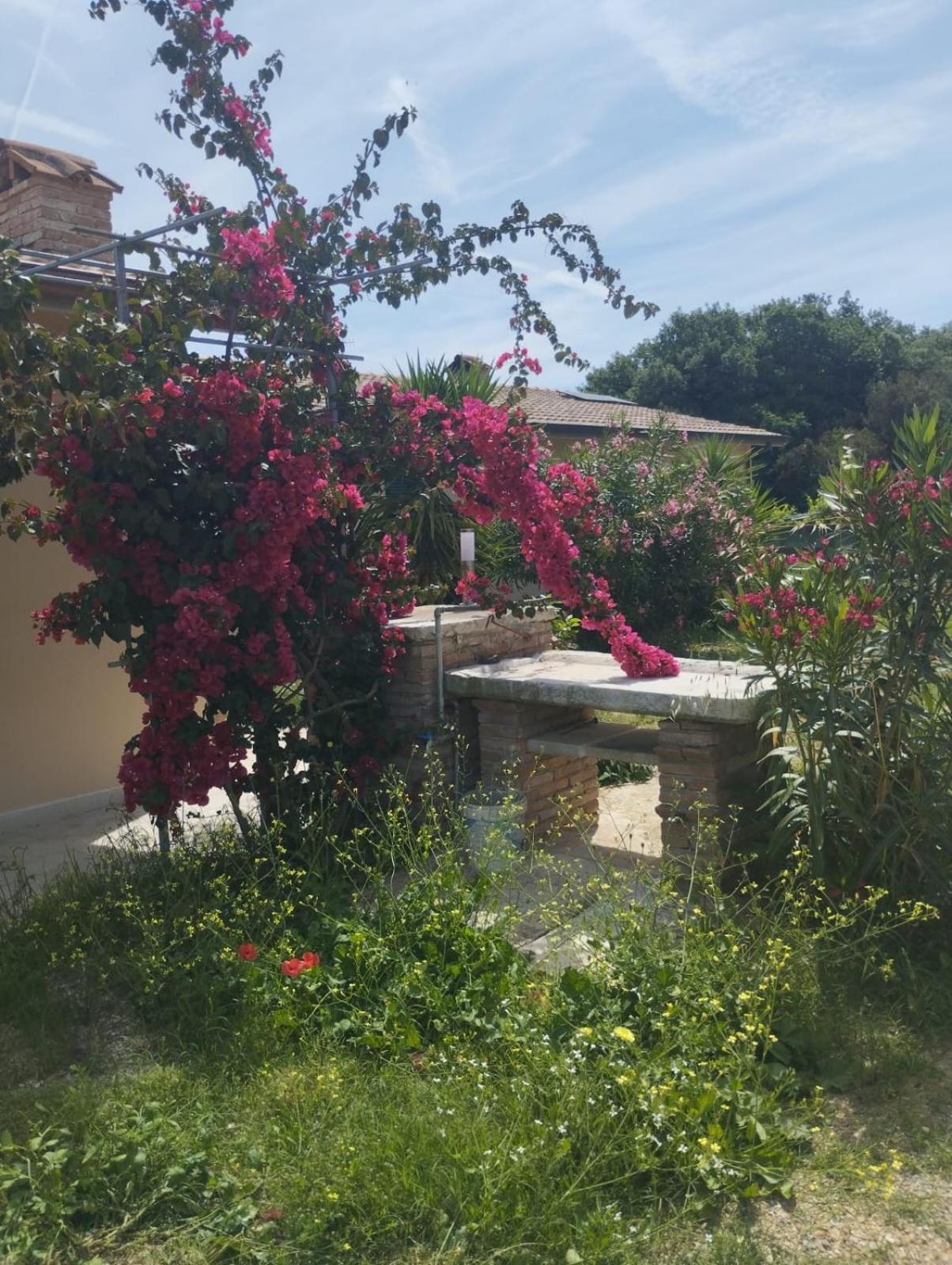 Appartamenti Mirella Capoliveri  Buitenkant foto